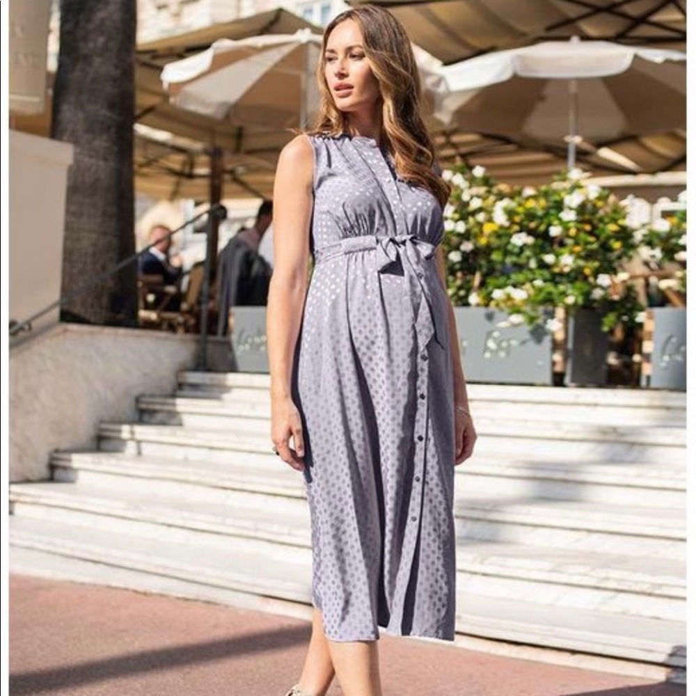 Seraphine gray button down midi maternity dress